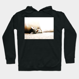 Comin` to get ya Hoodie